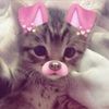 intisarthestar